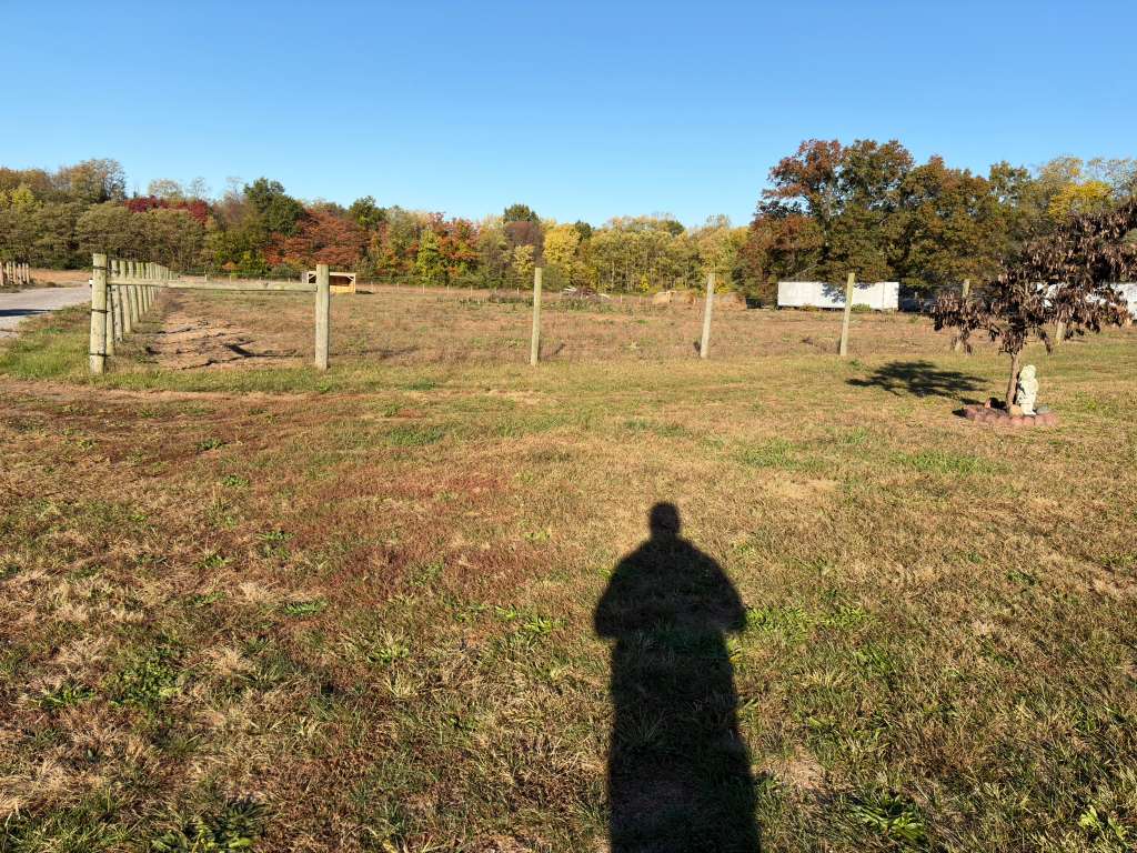 whatsapp image 2025 10 30 at 1.10.44 pm (1)