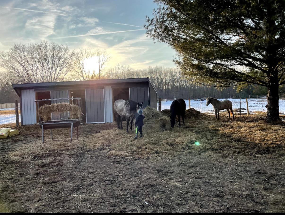 whatsapp image 2025 11 02 at 5.29.25 pm (1)