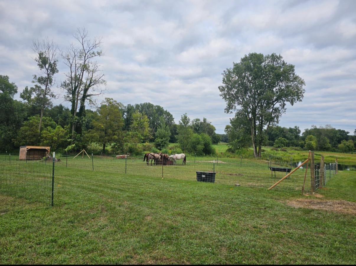 whatsapp image 2025 11 02 at 5.29.25 pm