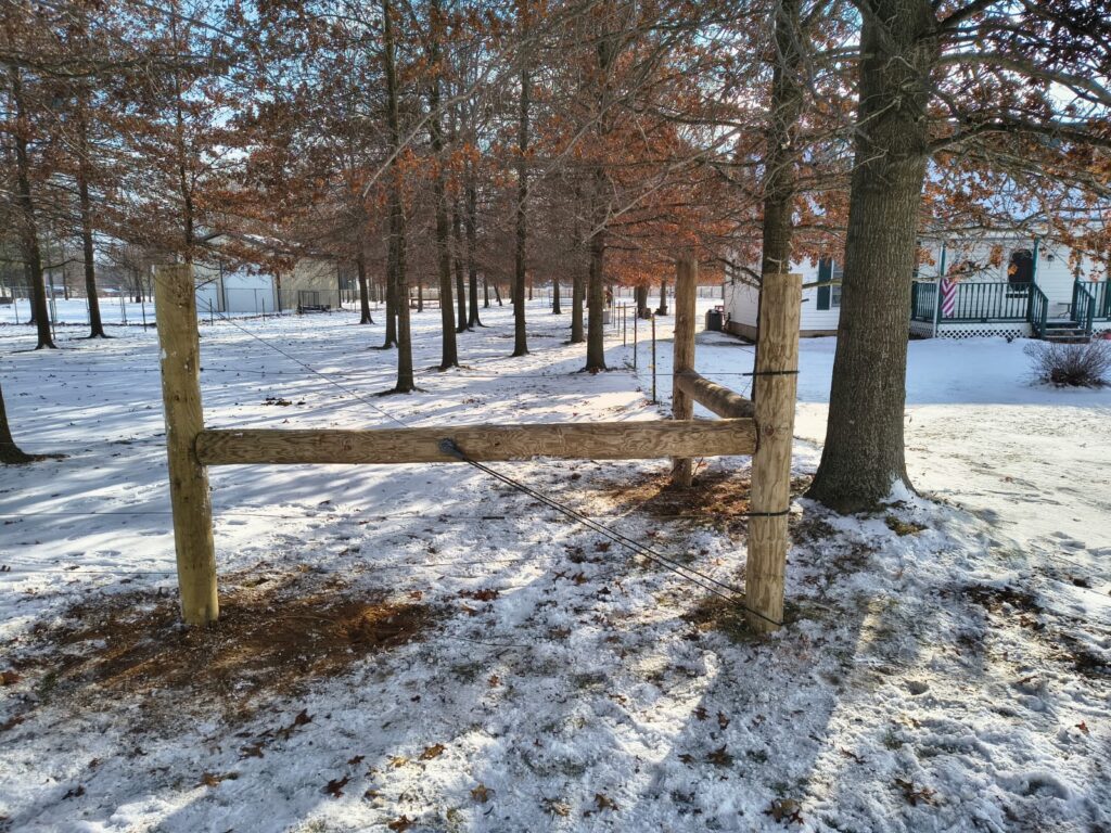 whatsapp image 2025 12 14 at 3.44.13 pm (1)