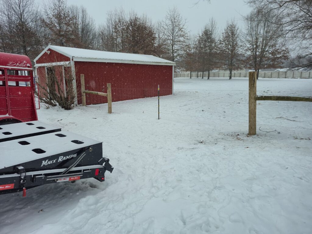 whatsapp image 2025 12 14 at 3.44.13 pm (2)