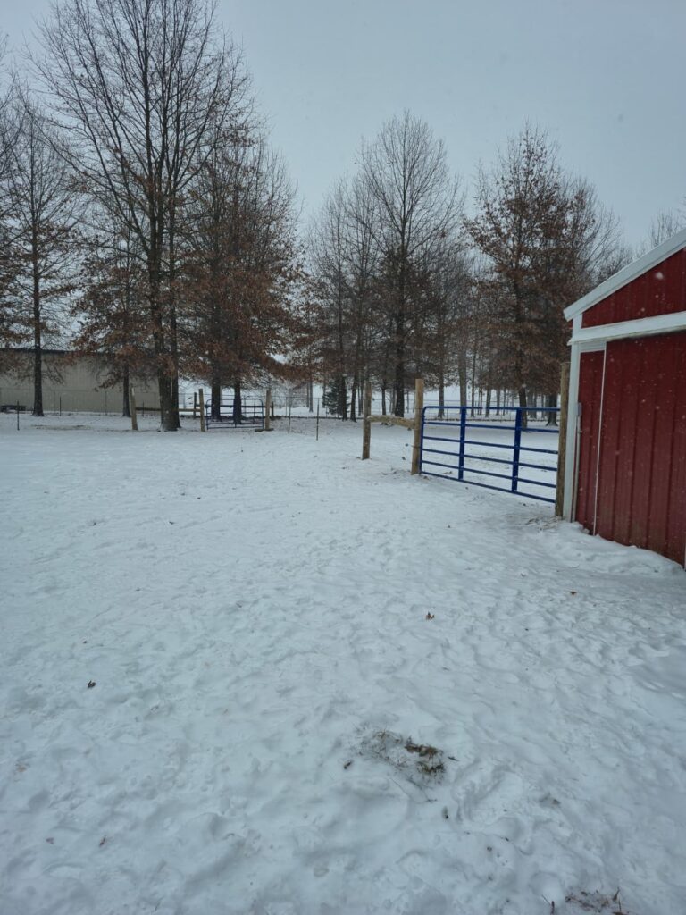 whatsapp image 2025 12 14 at 3.44.13 pm (3)