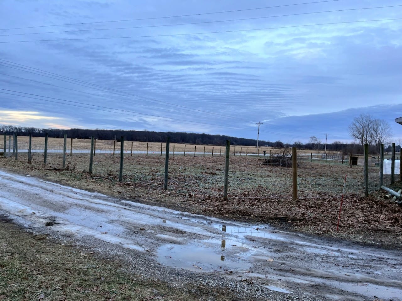 whatsapp image 2025 12 25 at 5.21.58 pm (1)