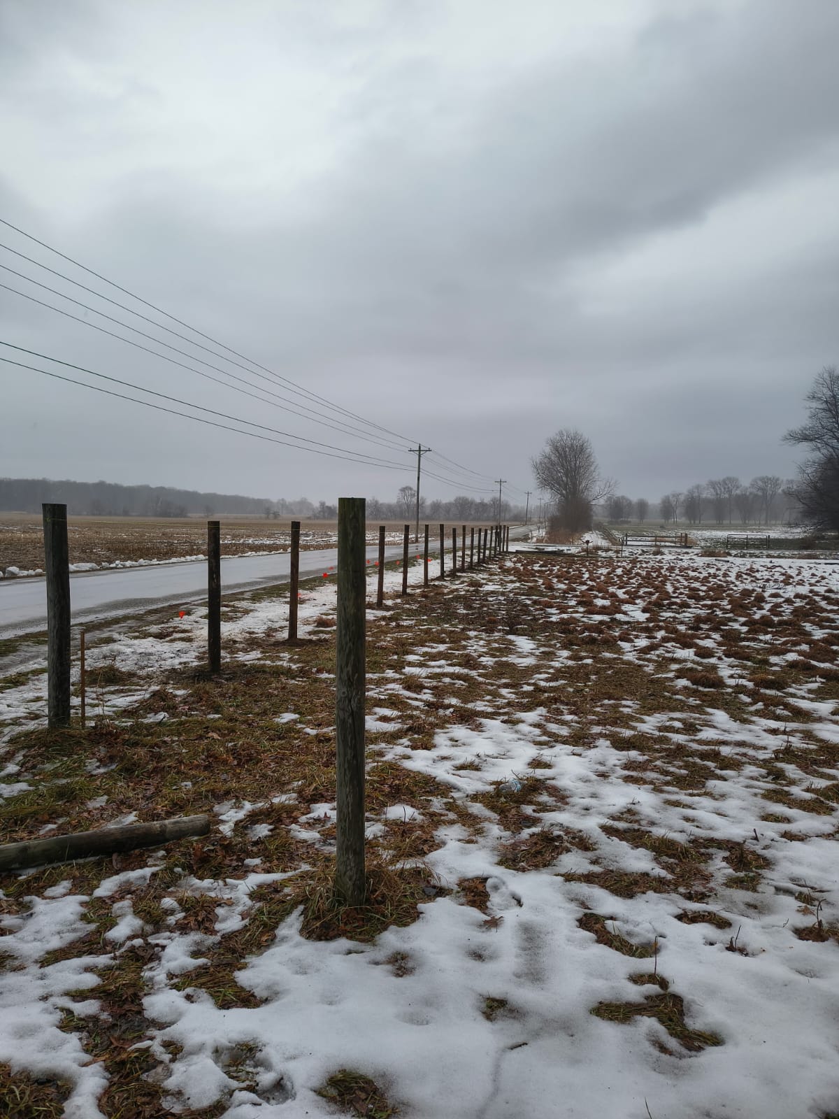 whatsapp image 2025 12 25 at 5.21.59 pm