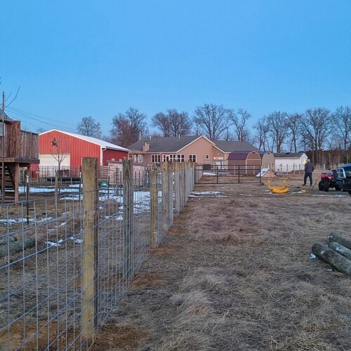 whatsapp image 2026 02 26 at 3.06.20 am (1)