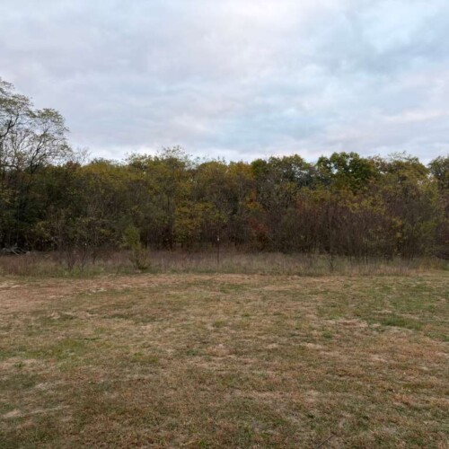 whatsapp image 2026 02 27 at 12.31.58 pm