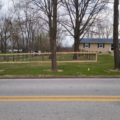 whatsapp image 2026 04 10 at 2.48.57 am (7)